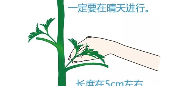 ΪʲôҪ辡ժļ軨