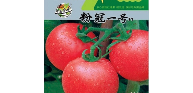 ۹һŷƷֺòã