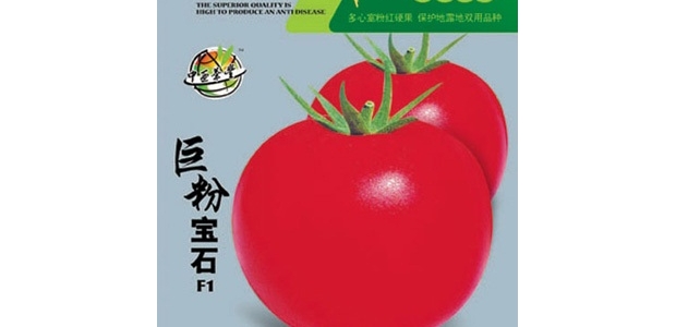 ޷۱ʯƷֺ