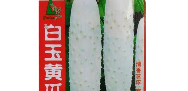 ƹƷֺòã
