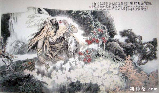 生姜有哪些故事传说? 生姜有哪些故事传说?