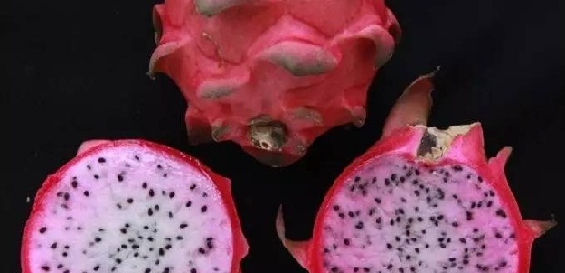 ݸۻƷֺòã