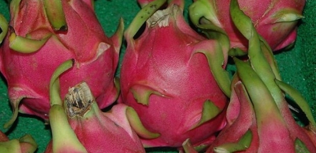ˮƷֺòã