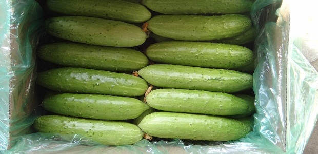 ˧2ŻƹƷֺòã