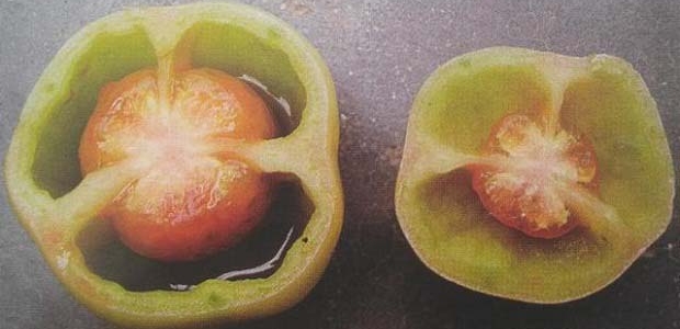 ʲôǷѿն