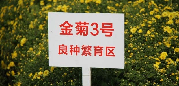 3Ʒֺòã