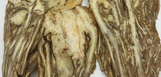鸱ʲô