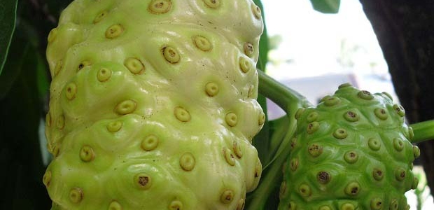 ŵĹЧʲô