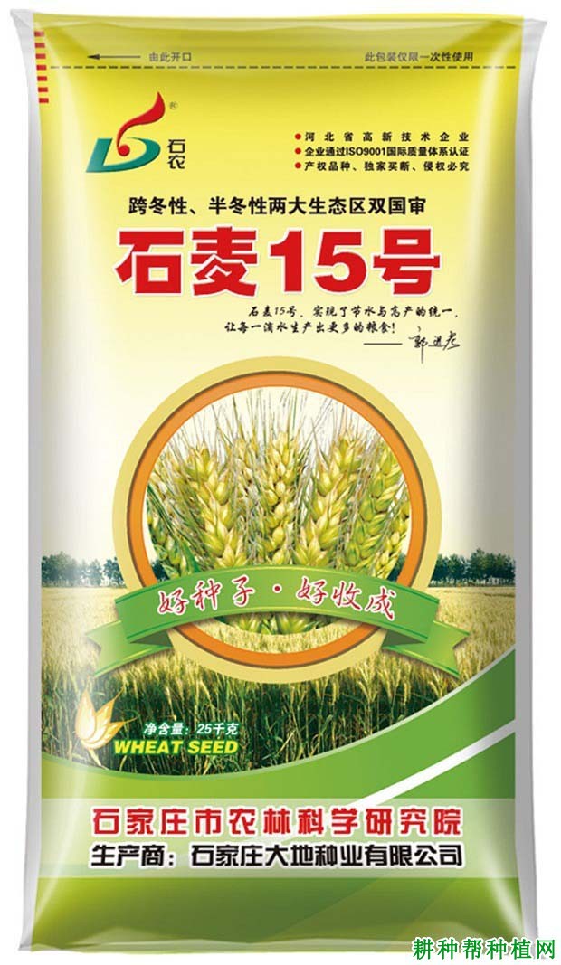 石麦15号冬性小麦品种好不好? 石麦15号冬性小麦品种好不好?