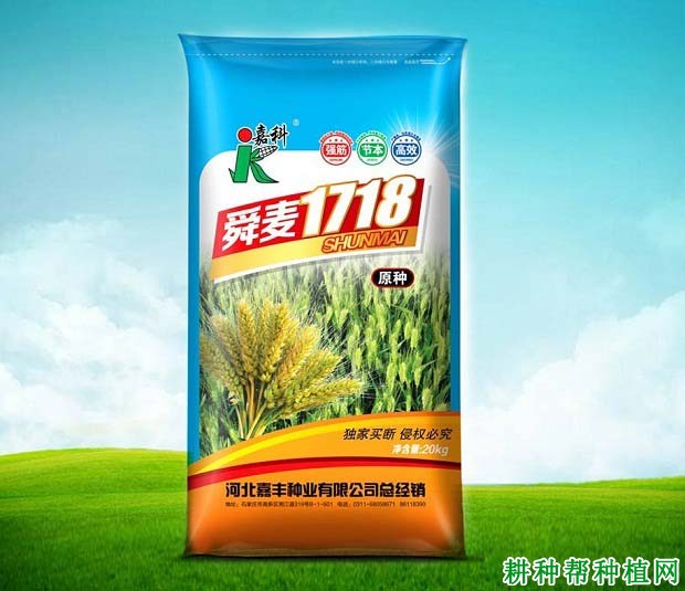 舜麦1718品种好不好? 舜麦1718品种好不好?