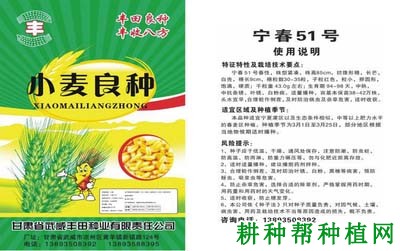 宁春51号春性小麦品种好不好? 宁春51号春性小麦品种好不好?