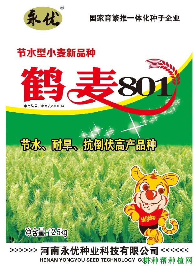 鹤麦801半冬性小麦品种好不好? 鹤麦801半冬性小麦品种好不好?