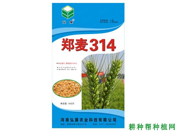 郑麦314半冬性小麦品种好不好? 郑麦314半冬性小麦品种好不好?