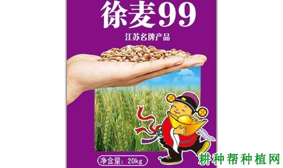 徐麦99半冬性小麦品种好不好? 徐麦99半冬性小麦品种好不好?