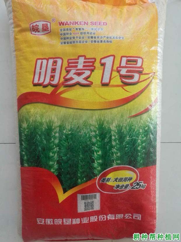 明麦1号半冬性小麦品种好不好? 明麦1号半冬性小麦品种好不好?