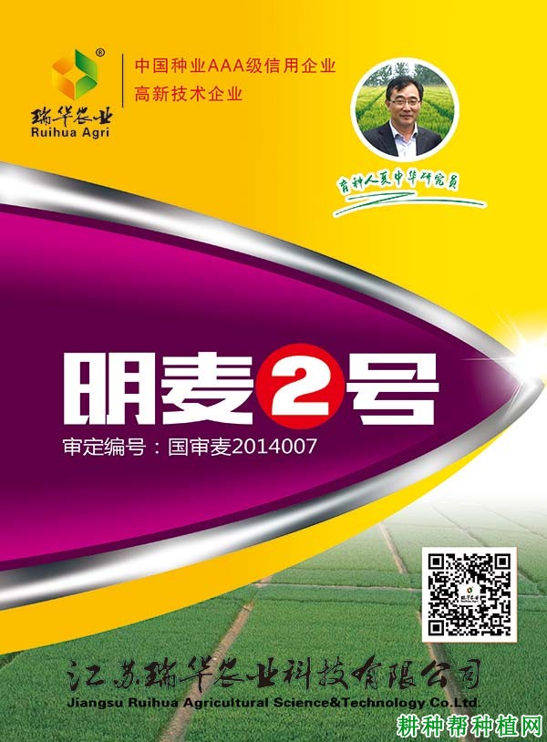 明麦2号弱春性小麦品种好不好? 明麦2号弱春性小麦品种好不好?