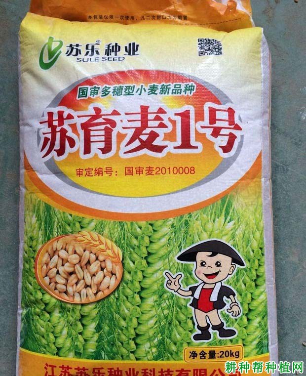 苏育麦1号半冬性小麦品种好不好? 苏育麦1号半冬性小麦品种好不好?