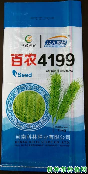 百农4199小麦品种好不好? 百农4199小麦品种好不好?