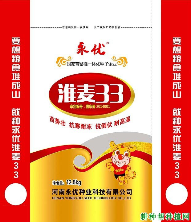 淮麦33半冬性小麦品种好不好? 淮麦33半冬性小麦品种好不好?