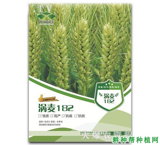 涡麦182半冬性小麦品种好不好? 涡麦182半冬性小麦品种好不好?