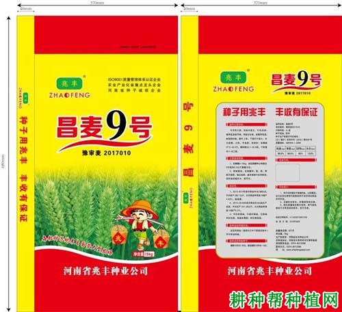 昌麦9号小麦品种好不好? 昌麦9号小麦品种好不好?