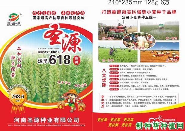 运旱618冬性小麦品种好不好? 运旱618冬性小麦品种好不好?