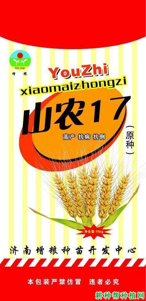 山农17半冬性小麦品种好不好? 山农17半冬性小麦品种好不好?