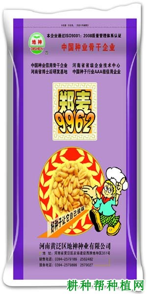 郑麦9962半冬性小麦品种好不好? 郑麦9962半冬性小麦品种好不好?