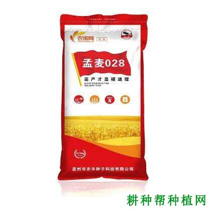 孟麦028小麦品种好不好? 孟麦028小麦品种好不好?