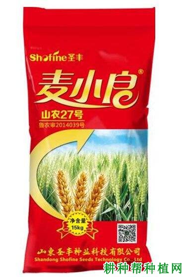 山农27号小麦品种好不好? 山农27号小麦品种好不好?