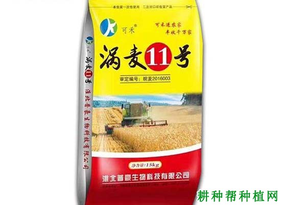 涡麦11号小麦品种好不好? 涡麦11号小麦品种好不好?