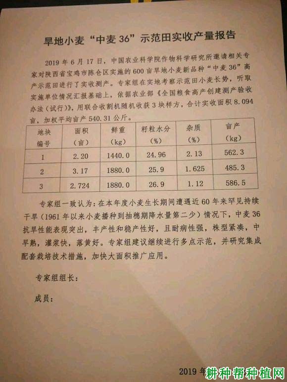 中麦36小麦品种好不好? 中麦36小麦品种好不好?
