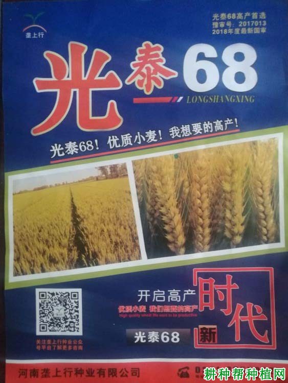 光泰68小麦品种好不好? 光泰68小麦品种好不好?