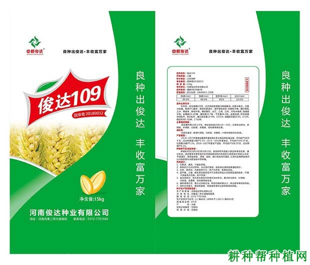 俊达109小麦品种好不好? 俊达109小麦品种好不好?