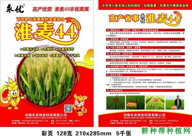 淮麦44小麦品种好不好? 淮麦44小麦品种好不好?