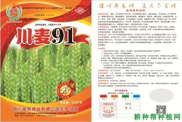 川麦91小麦品种好不好? 川麦91小麦品种好不好?