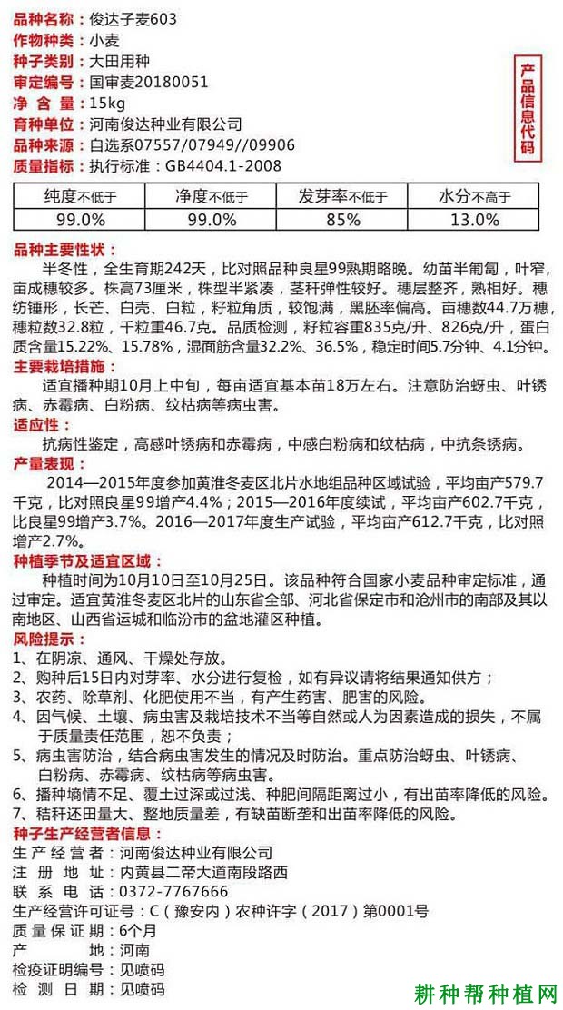 俊达子麦603小麦品种好不好? 俊达子麦603小麦品种好不好?