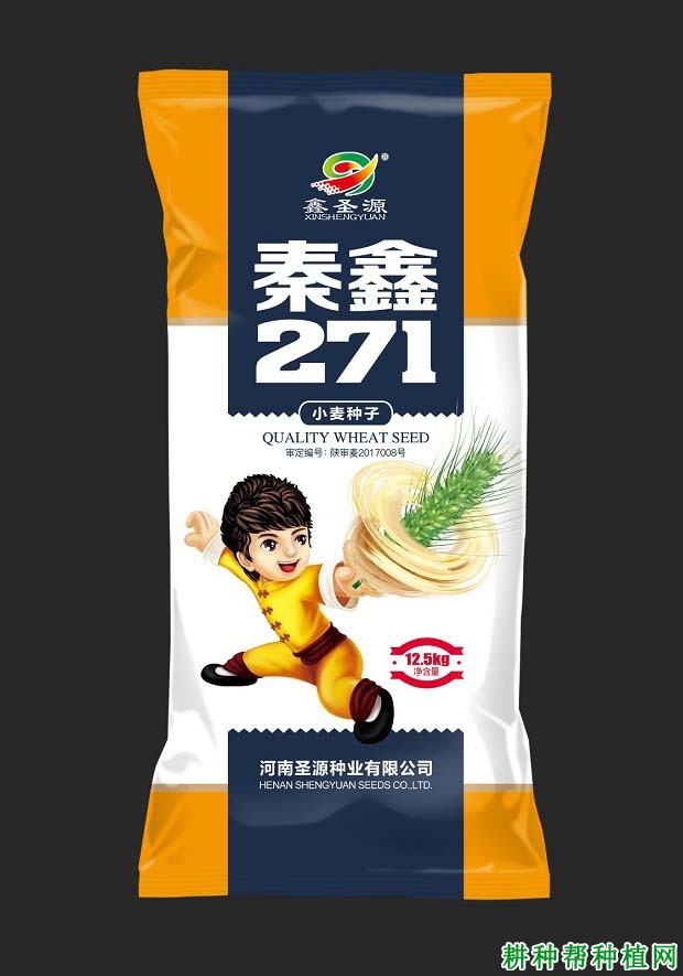秦鑫271小麦品种好不好? 秦鑫271小麦品种好不好?