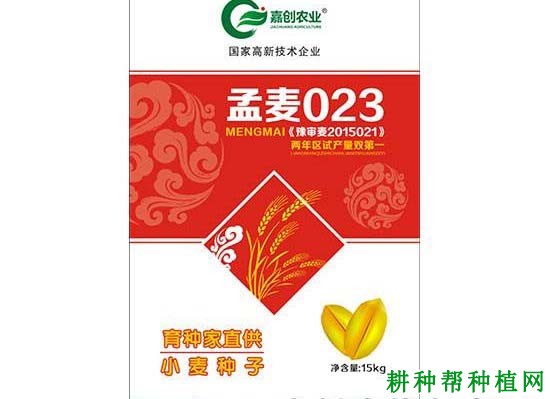 孟麦032小麦品种好不好? 孟麦032小麦品种好不好?