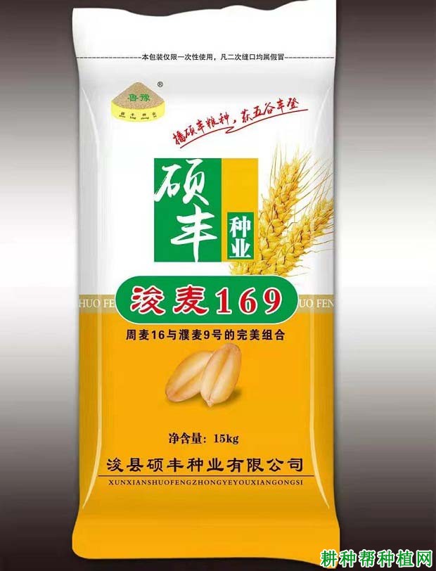 浚麦169小麦品种好不好? 浚麦169小麦品种好不好?