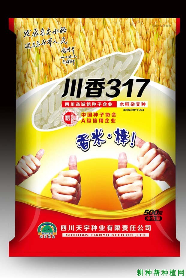 川香317杂交籼稻水稻品种好不好? 川香317杂交籼稻水稻品种好不好?