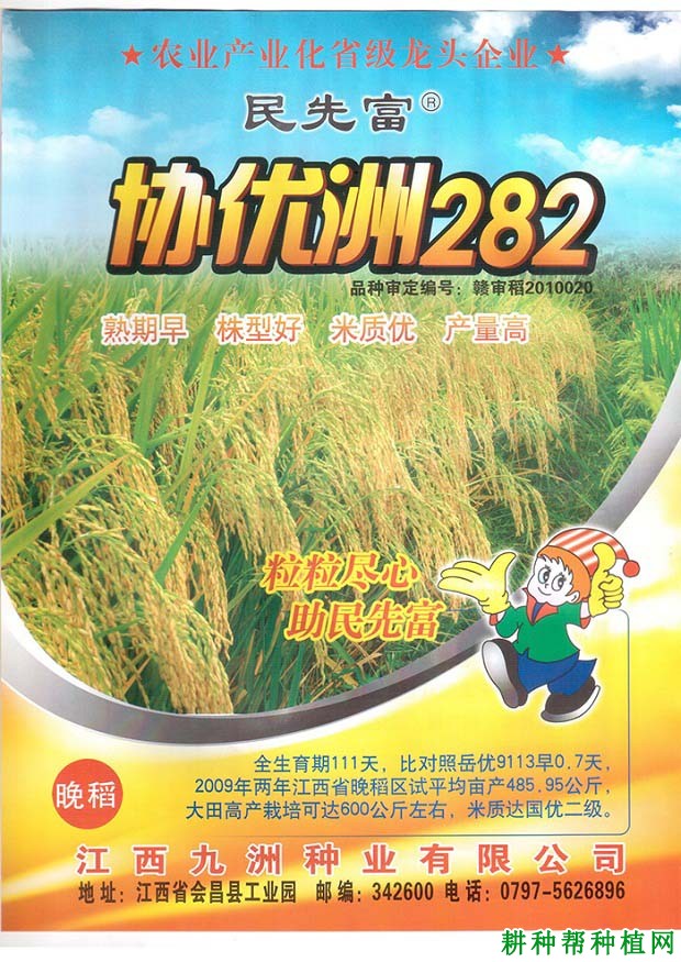协优洲282水稻品种好不好? 协优洲282水稻品种好不好?