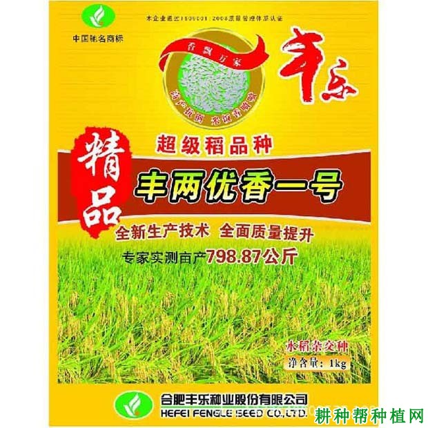 丰两优香一号水稻品种好不好? 丰两优香一号水稻品种好不好?
