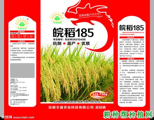 皖稻185号杂交籼稻水稻品种好不好? 皖稻185号杂交籼稻水稻品种好不好?