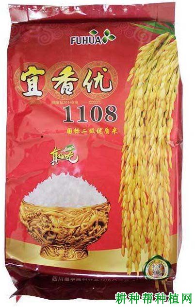 宜香优1108杂交籼稻水稻品种好不好? 宜香优1108杂交籼稻水稻品种好不好?