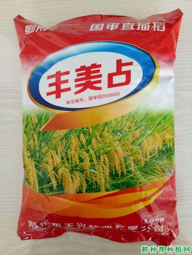 丰美占水稻品种好不好? 丰美占水稻品种好不好?