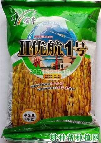 Ⅱ优航1号水稻品种好不好? Ⅱ优航1号水稻品种好不好?