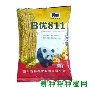 B优811杂交籼稻水稻品种好不好? B优811杂交籼稻水稻品种好不好?