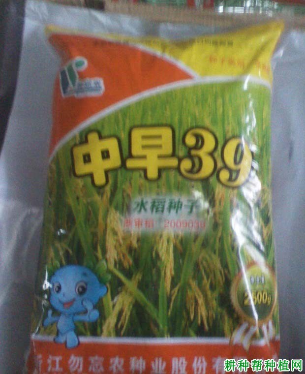 中早39水稻品种好不好? 中早39水稻品种好不好?