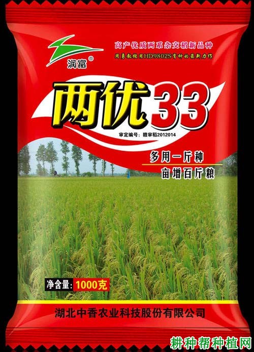 两优33杂交籼稻水稻品种好不好? 两优33杂交籼稻水稻品种好不好?